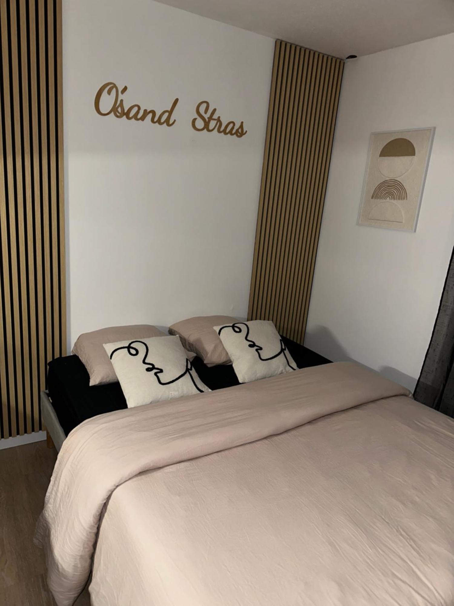 O Sand Stras Studio 25M Carre Strasbourg Luaran gambar