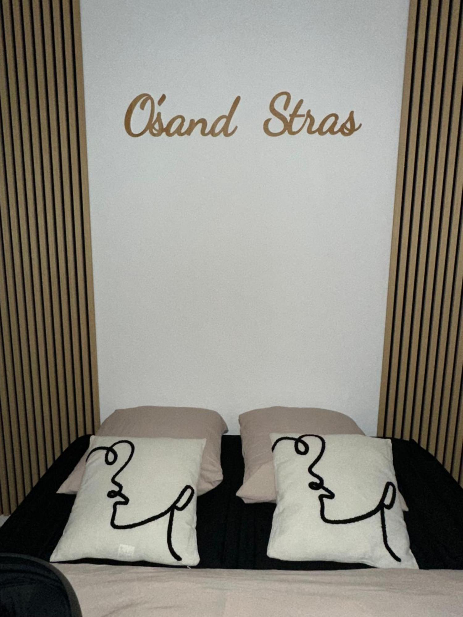 O Sand Stras Studio 25M Carre Strasbourg Luaran gambar